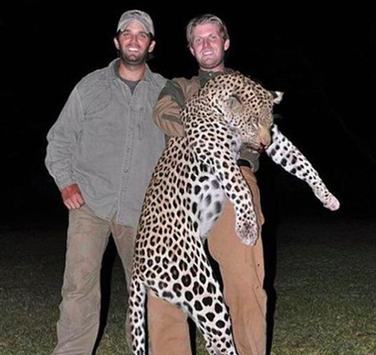 How Big of. Pussy Do you have to BE to kill this Noble Animal for sport? Just ask Donald Trump Jr and his brother Eric. One more reason to vote for Hilary! 🙋🇺🇸 How Big of. Pussy Do you have to BE to kill this Noble Animal for sport? Just ask Donald Trump Jr and his brother Eric. One more reason to vote for Hilary! 🙋🇺🇸