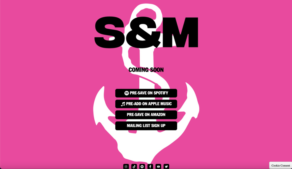 S&M