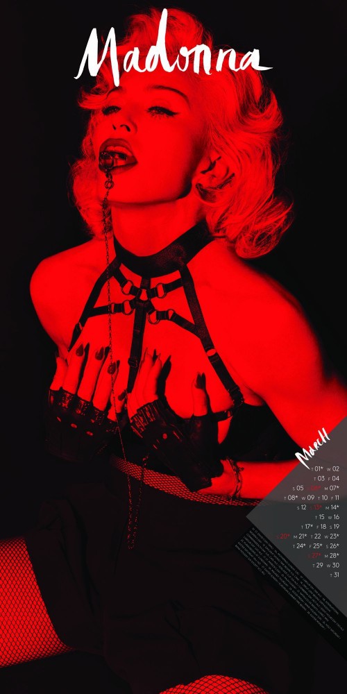 Madonna  : Calendrier 2016