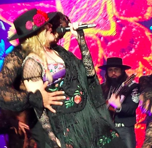 Rebel Heart Tour : Detroit 1st October Rebel Heart Tour : Detroit 1st October