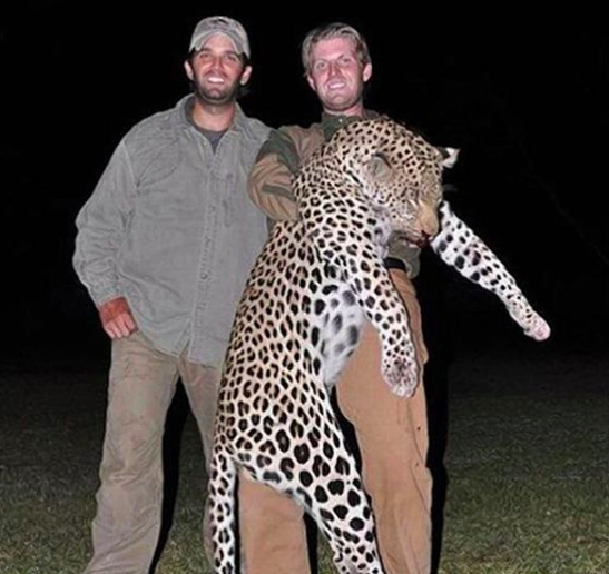 How Big of. Pussy Do you have to BE to kill this Noble Animal for sport? Just ask Donald Trump Jr and his brother Eric. One more reason to vote for Hilary! 🙋🇺🇸 How Big of. Pussy Do you have to BE to kill this Noble Animal for sport? Just ask Donald Trump Jr and his brother Eric. One more reason to vote for Hilary! 🙋🇺🇸