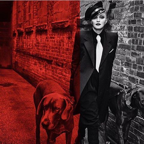 Its a Dog's life! (Une vie de chien) Its a Dog's life! (Une vie de chien)