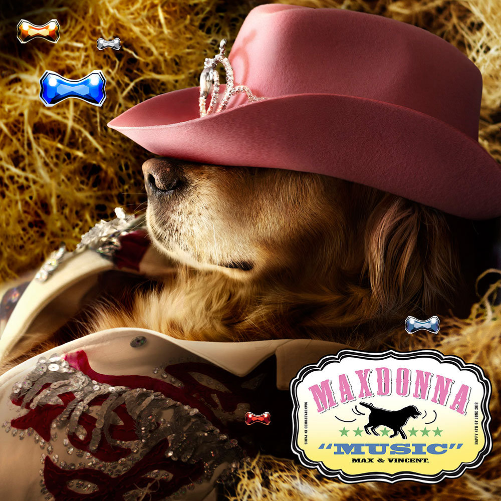 Exclu : rencontre avec Max et Vincent Exclu : rencontre avec Max et Vincent