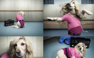 Maxdonna