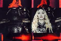 rebel_heart_tour_book37